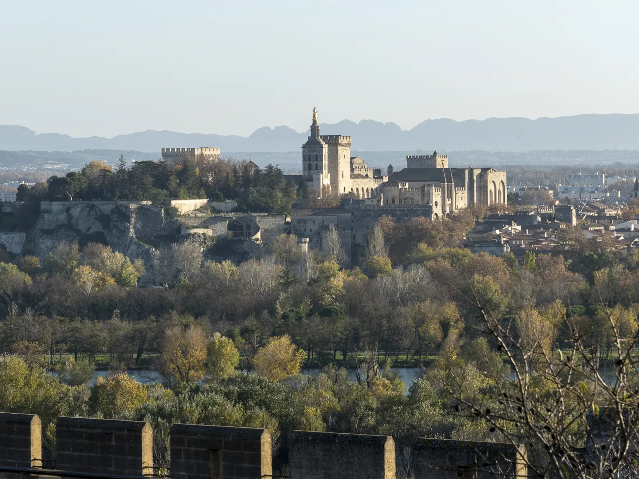autour-du-mas-du grialou-carpentras-ventoux-dentelles-montmirail-palais-des-papes-avignon-pont-vignoble-randonnee-nature-39