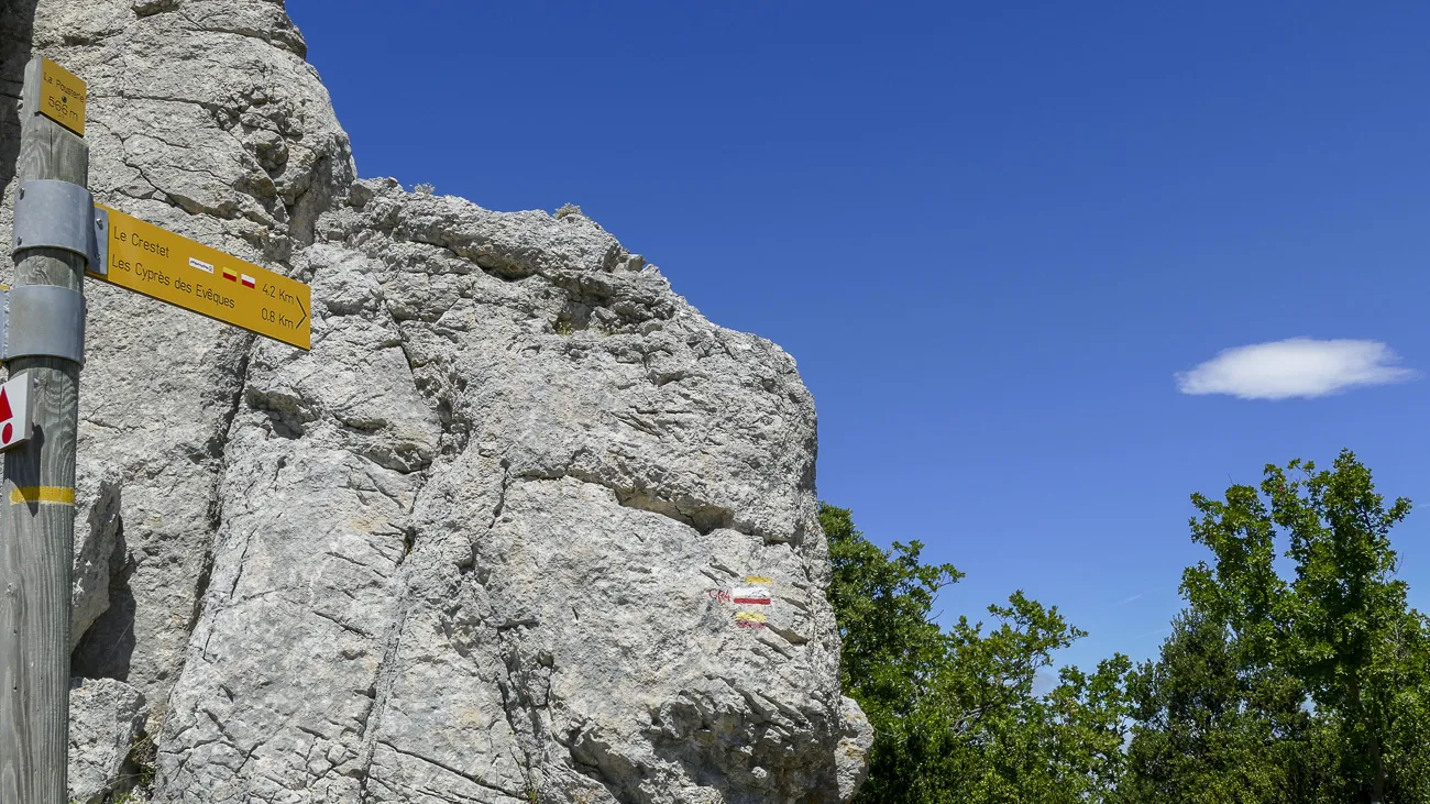 autour-du-mas-du grialou-carpentras-ventoux-dentelles-montmirail-palais-des-papes-avignon-pont-vignoble-randonnee-nature-44