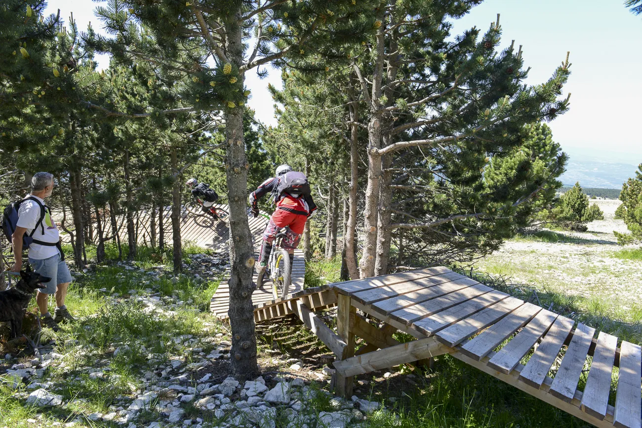 autour-du-mas-du grialou-carpentras-ventoux-dentelles-montmirail-palais-des-papes-avignon-pont-vignoble-randonnee-nature-8